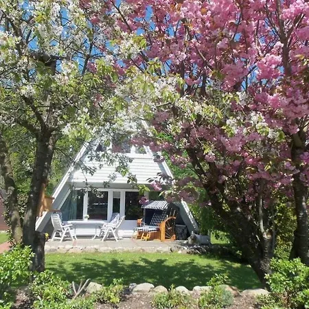 In With Swimming Pool