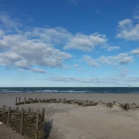 In With Swimming Pool Feriehus Damp